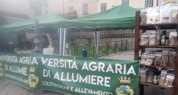 L’Università Agraria di Allumiere protagonista alla 127ª Fieracavalli di Verona: il Cavallo Tolfetano porta in alto il territorio
