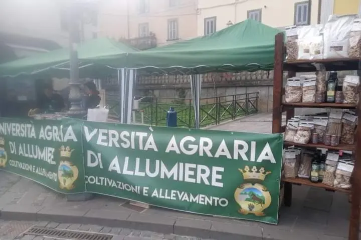 L’Università Agraria di Allumiere protagonista alla 127ª Fieracavalli di Verona: il Cavallo Tolfetano porta in alto il territorio