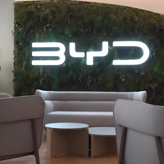 Byd, Davino: \"Al lavoro sui singoli mercati dei Paesi Ue, abbiamo grandi propositi\"