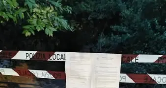 Piante attaccate dai parassiti e a rischio crollo: chiude il bosco di Valcanneto
