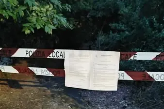 Piante attaccate dai parassiti e a rischio crollo: chiude il bosco di Valcanneto