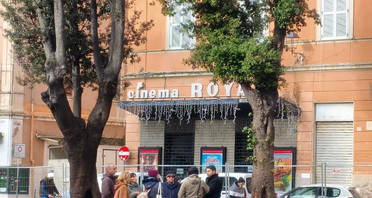 Mercato, sopralluogo della Soprintendenza per decidere il futuro degli alberi