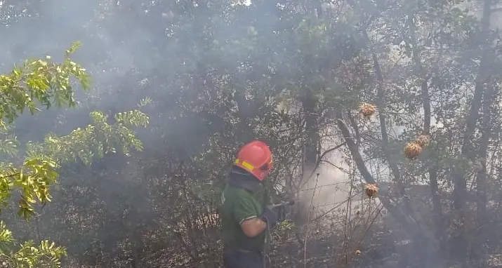 Incendio a Ferragosto, bruciati cento ettari tra bosco e sterpaglie