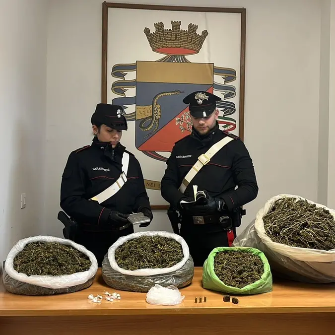 Blitz antidroga: scattano arresti e sequestri