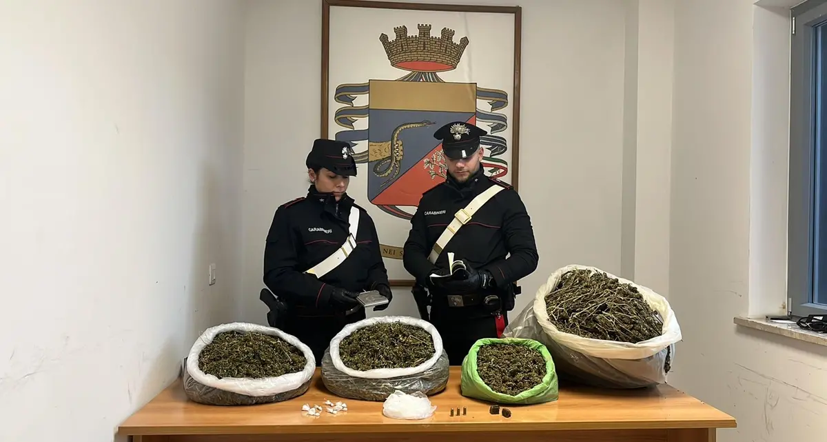 Blitz antidroga: scattano arresti e sequestri