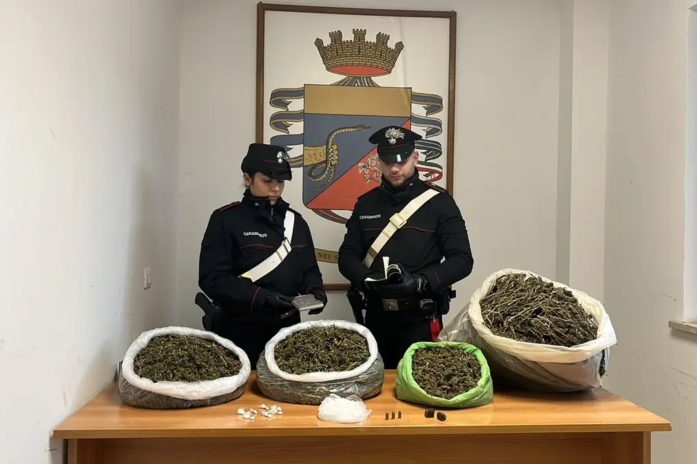 Blitz antidroga: scattano arresti e sequestri