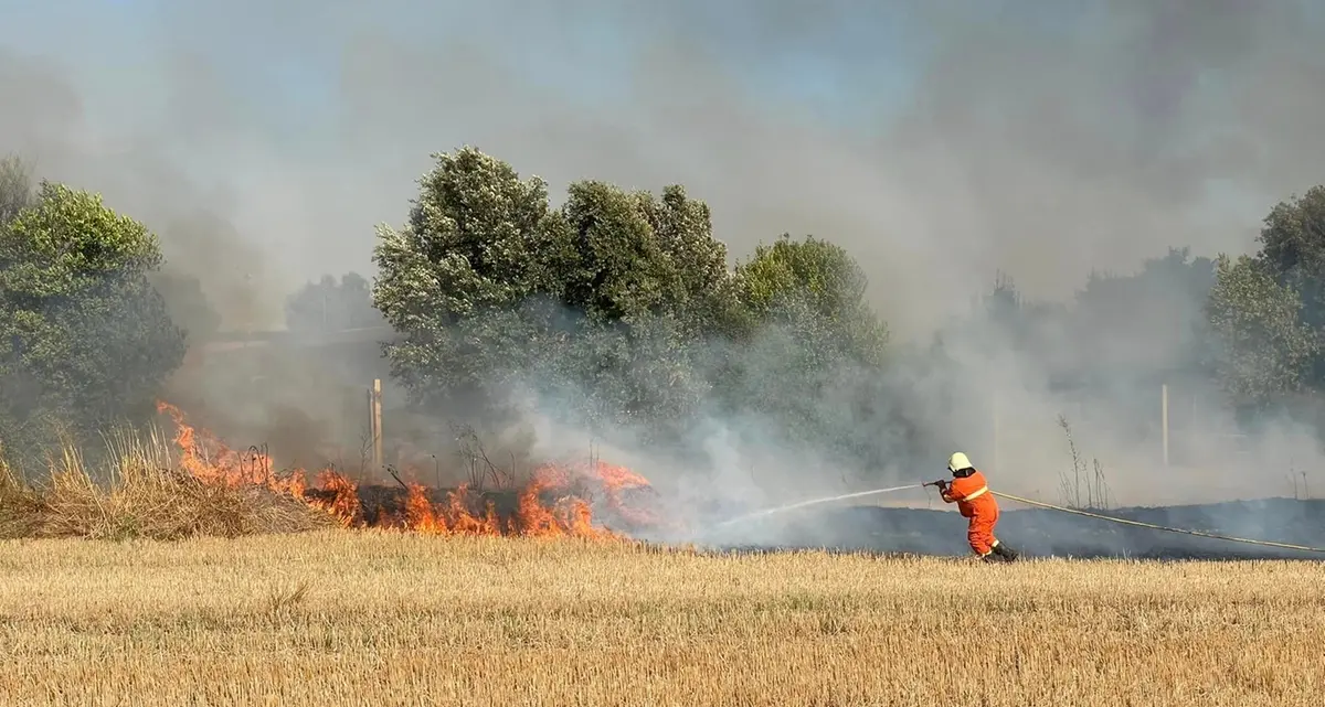 Vasto incendio al parco archeologico di Vulci. Fiamme anche ai Piani degli Alpaca a Tarquinia