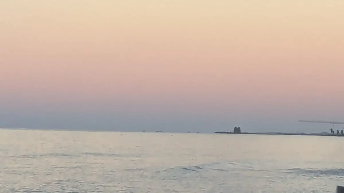 Daino in strada a Ladispoli