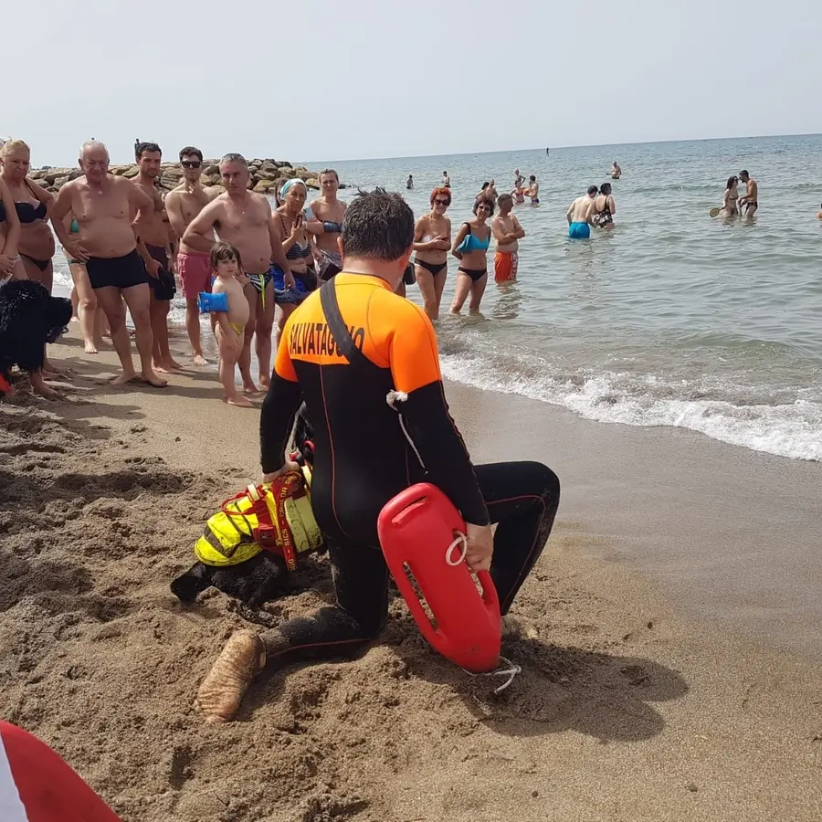 L’educazione sanitaria si fa anche in spiaggia: infermieri e professionisti a Tarquinia e Santa Severa (foto)