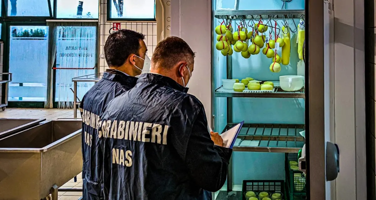 Blitz dei Nas in ristoranti e agriturismi della Tuscia: multe e chiusure