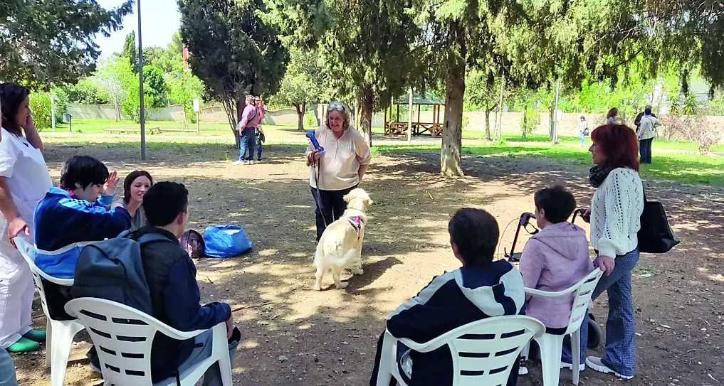 Pet therapy e disabilità, presentato il progetto “Te la do io una zampa”