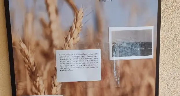 Università Agraria Tarquinia, anche una mostra di fotografie storiche nel progetto Vat