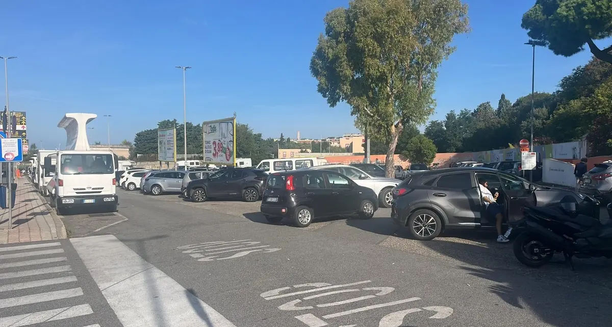 Frascarelli: «Lavori senza senso»