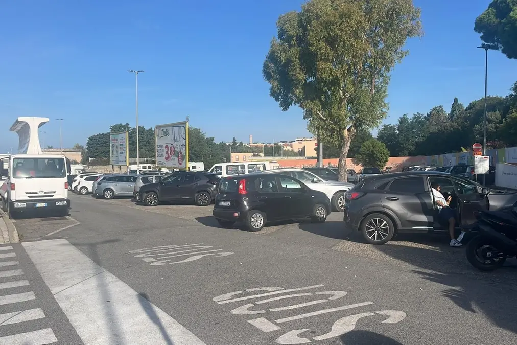 Frascarelli: «Lavori senza senso»