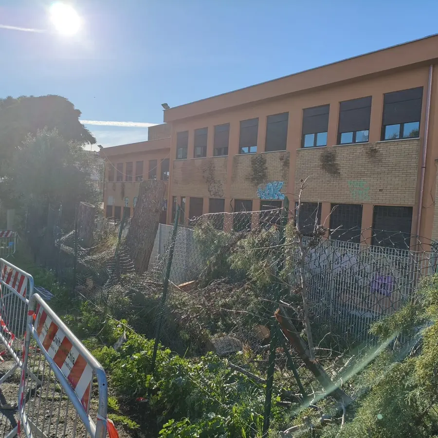 Abbattimenti all’Uliveto: accesso agli atti del consigliere metropolitano Frascarelli