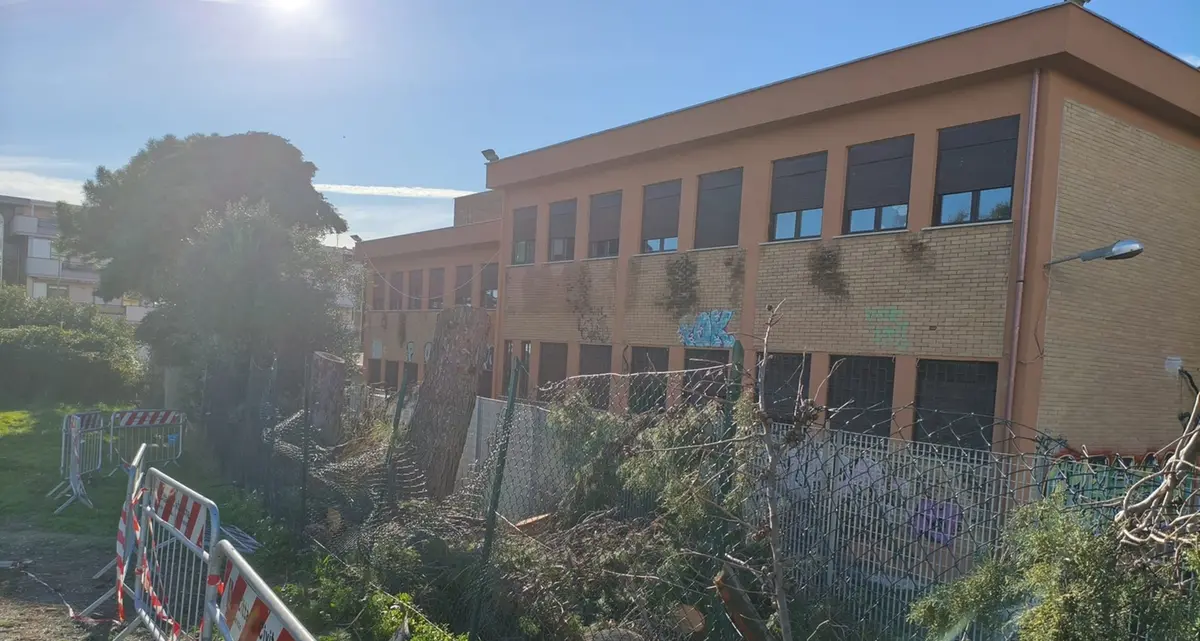 Abbattimenti all’Uliveto: accesso agli atti del consigliere metropolitano Frascarelli