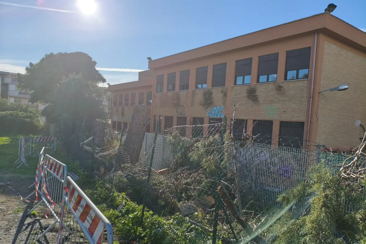 Abbattimenti all’Uliveto: accesso agli atti del consigliere metropolitano Frascarelli