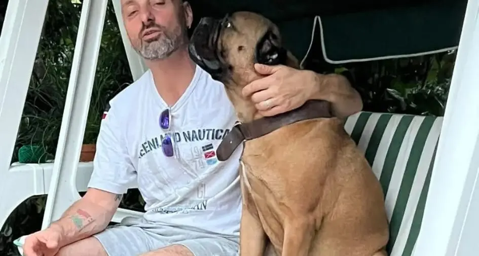 Morte di Giuliano Falcioni: una raccolta fondi per i suoi amati cani