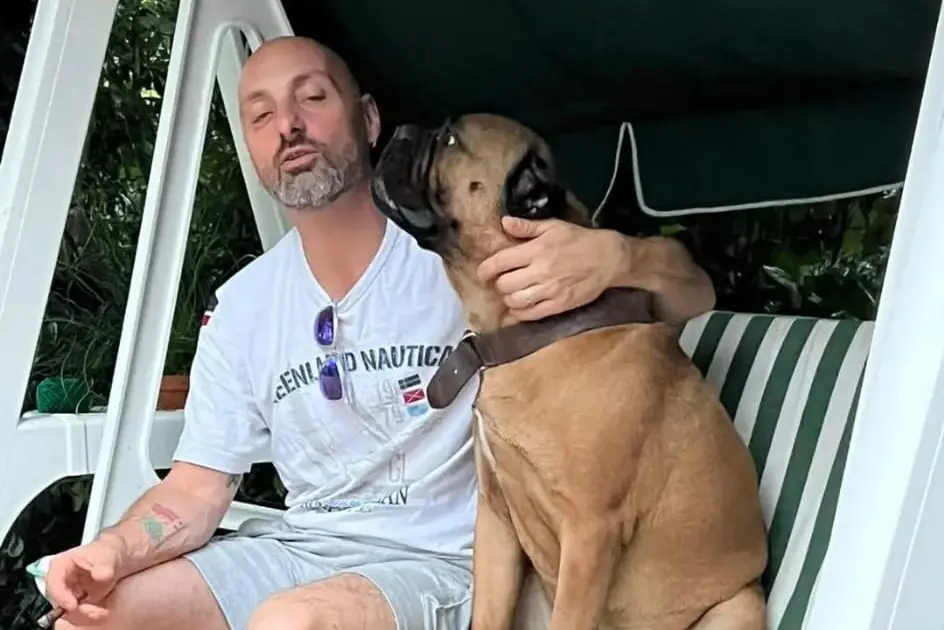 Morte di Giuliano Falcioni: una raccolta fondi per i suoi amati cani