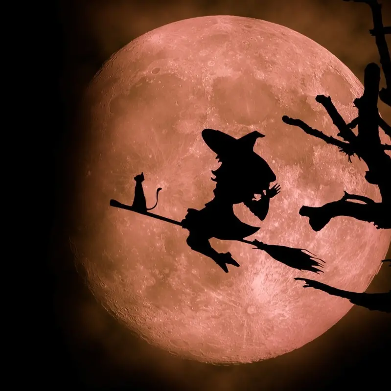 La Befana si festeggia con il mago Sauro