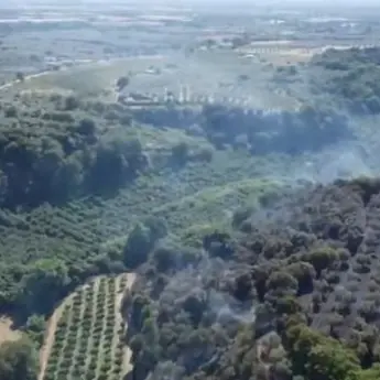 Vetralla, vasto incendio tra Ucciano e valle Caiano