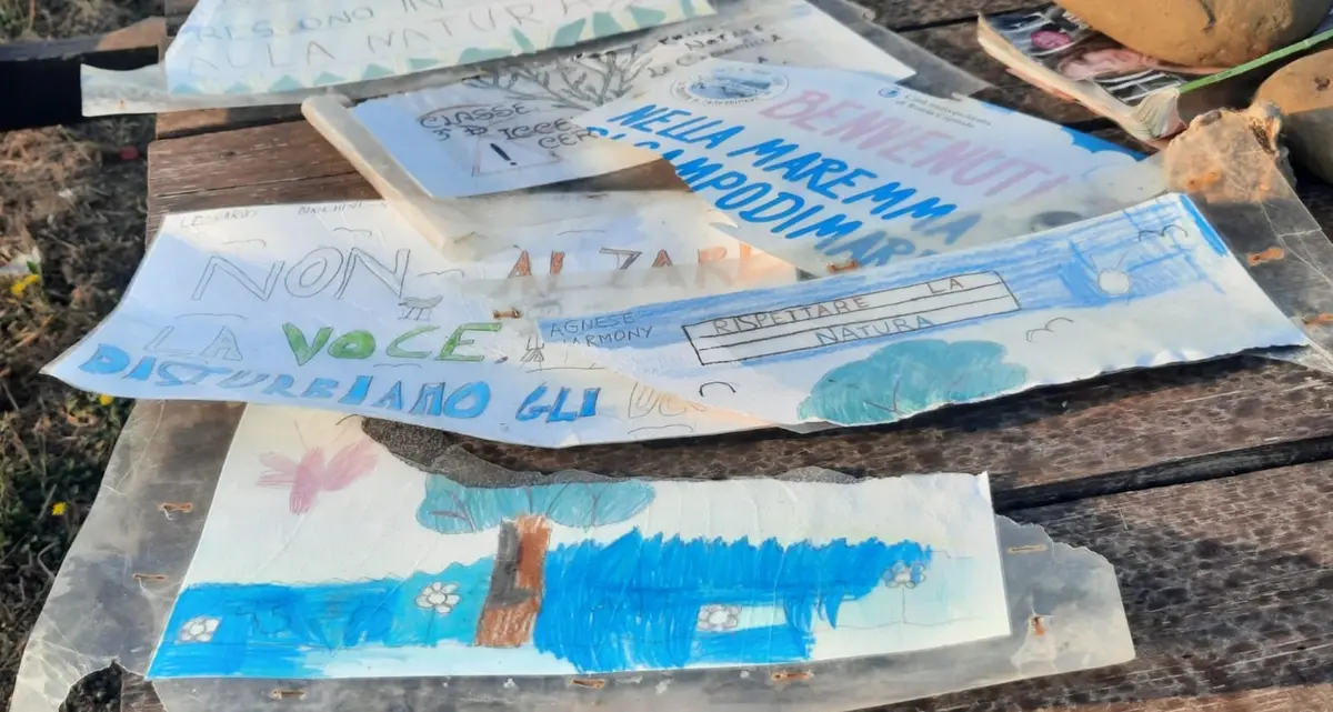 Torre Flavia, ancora raid vandalici contro la Palude