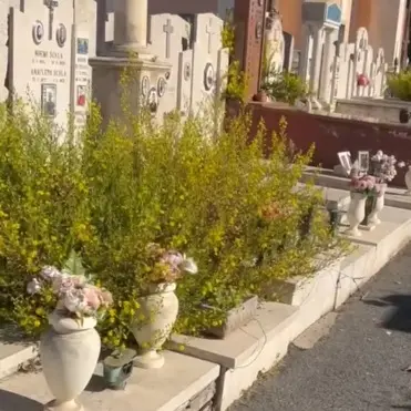 Cimitero monumentale immerso nel degrado