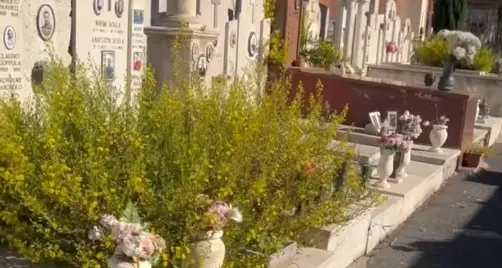 Cimitero monumentale immerso nel degrado
