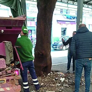 Piazza Regina Margherita, rimozione rifiuti vari e dei vecchi banchi