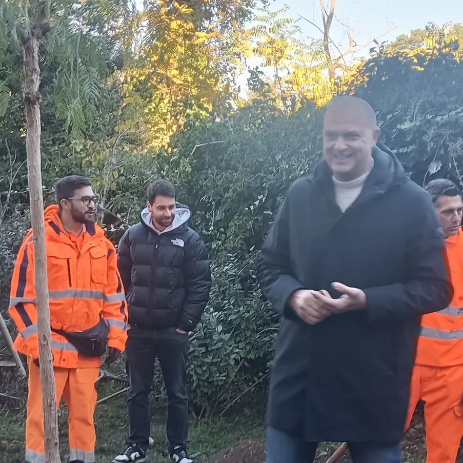 Festa dell’albero, a Viterbo messe a dimora nuove piante