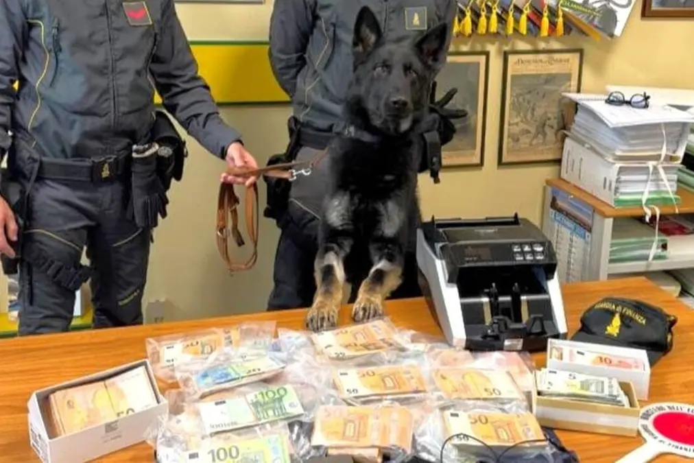 Nasconde in casa cocaina e 157mila euro sottovuoto