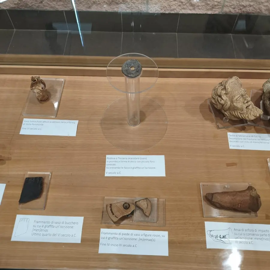 Aquae Tauri e Punta della Vipera: un percorso fra ricerca, formazione e musealizzazione