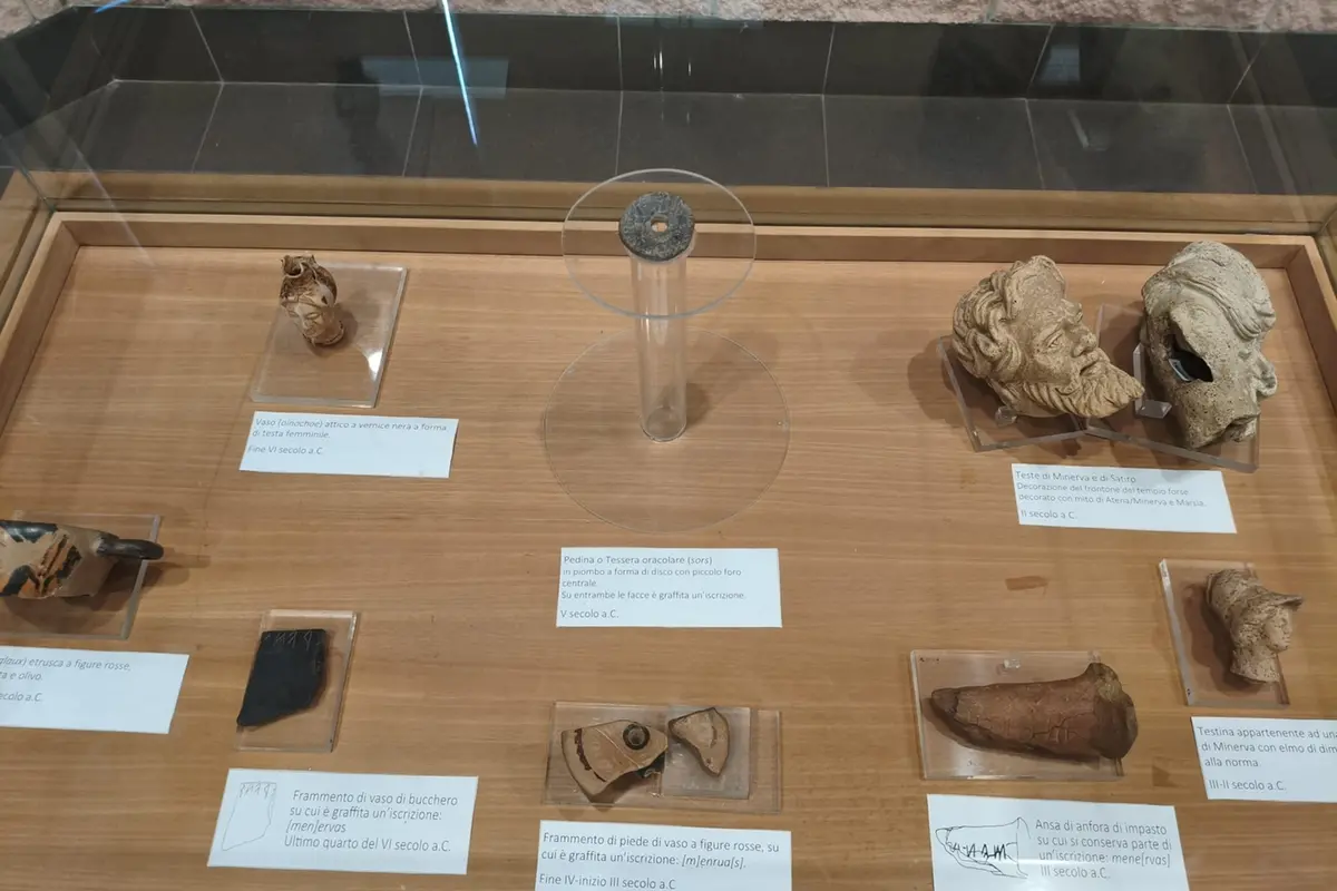 Aquae Tauri e Punta della Vipera: un percorso fra ricerca, formazione e musealizzazione