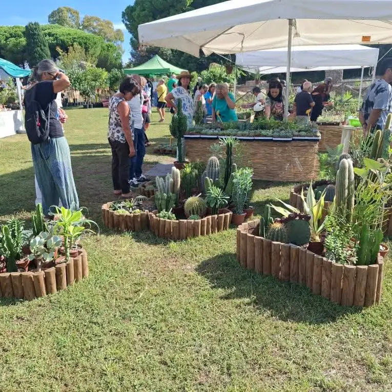 Terme in fiore, successo al parco archeologico