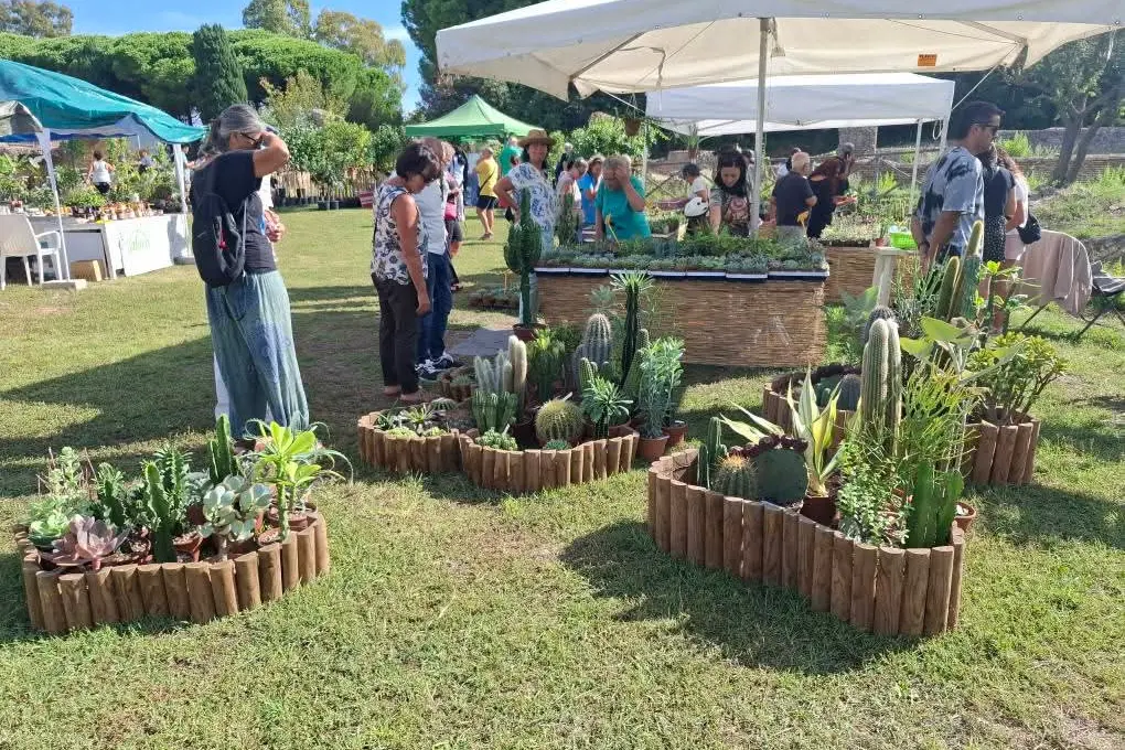 Terme in fiore, successo al parco archeologico
