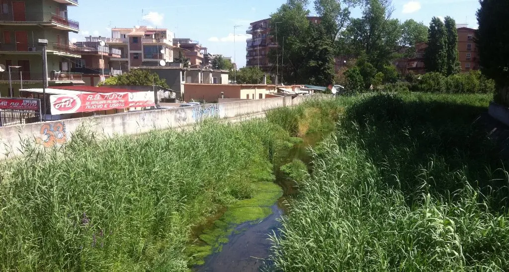 Canne e rifiuti sugli argini del fosso, parte la bonifica del Sanguinara