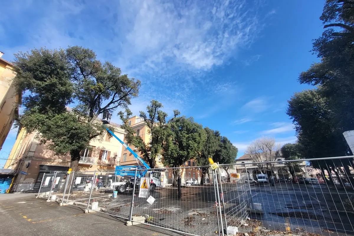 Mattinata di monitoraggi per gli alberi del mercato