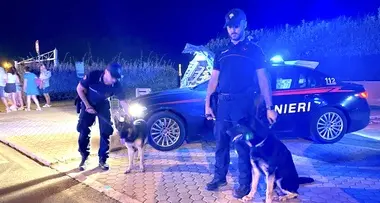 Movida Montalto, cocaina e hashish scovati dal cane antidroga Nathan