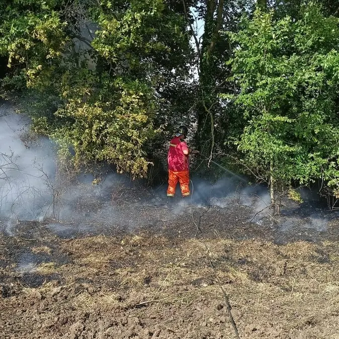 Torna l’incubo degli incendi: tre negli ultimi giorni a Cerveteri