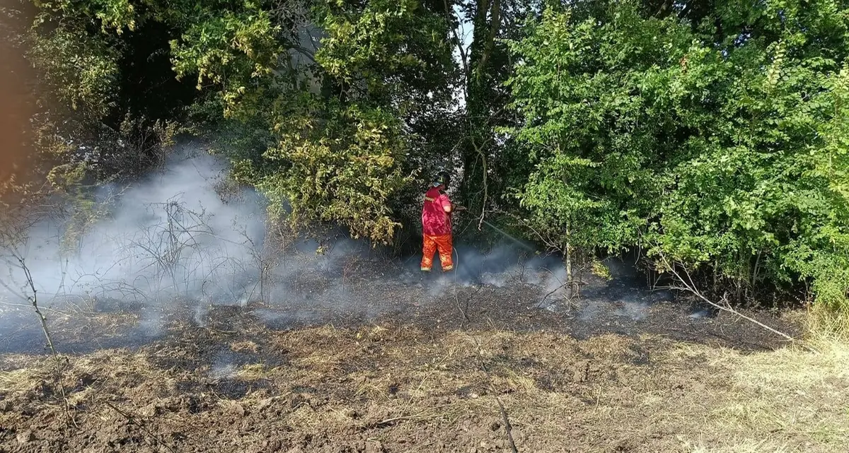 Torna l’incubo degli incendi: tre negli ultimi giorni a Cerveteri