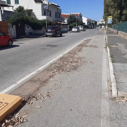 «La ciclabile è pericolosa, abbiate il coraggio di agire»