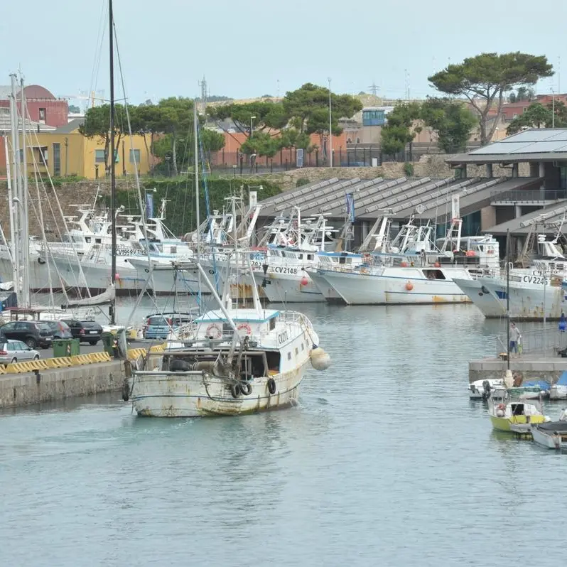 Civitavecchia, accordo tra Comune e pescatori: pesce fresco all’asta per i ristoratori locali