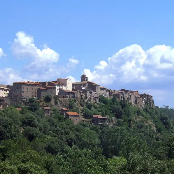 «Blera, funzionario del Comune condannato per abuso edilizio sui nostri terreni»