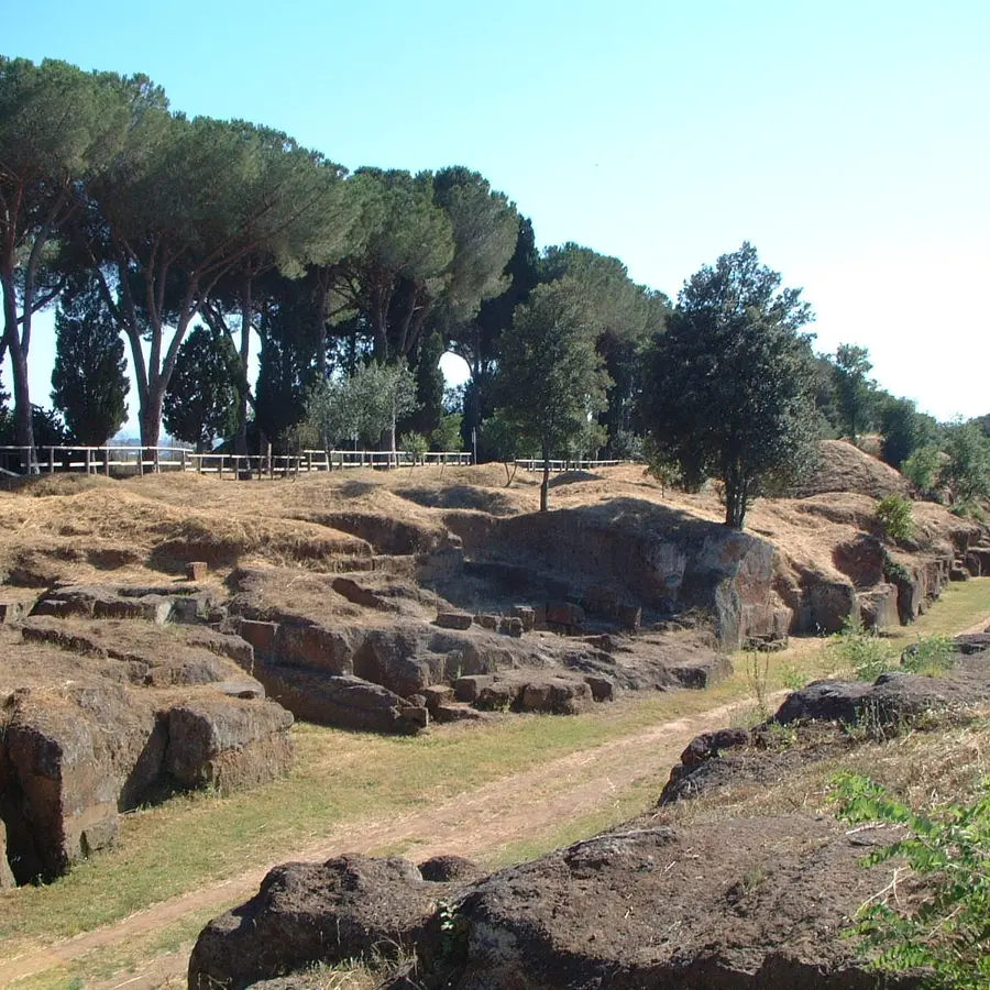 Pronto al decollo il progetto “Costa Lazio”, ma Cerveteri è senza taxi e ha pochi bus