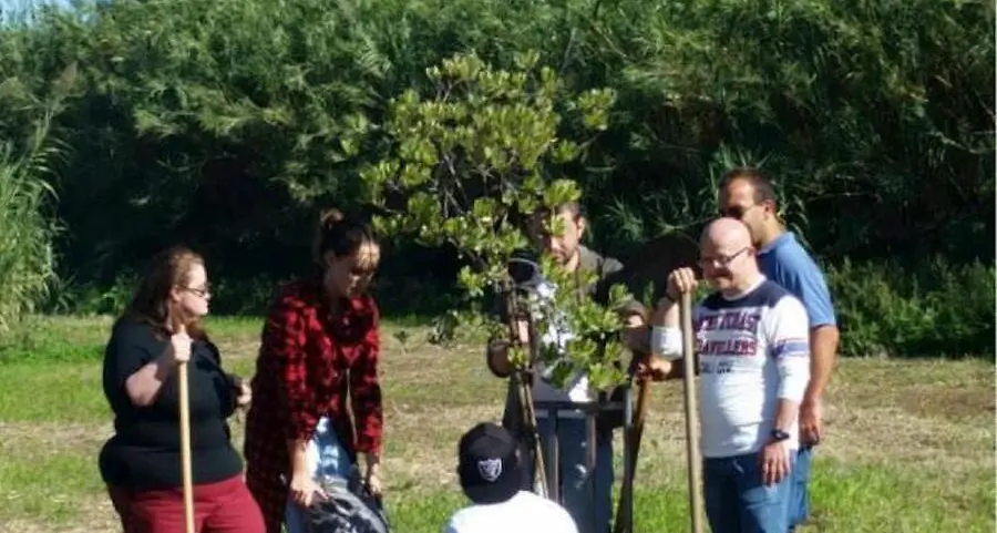 “Alberi per il futuro”, a Tarquinia edizione estiva dell’evento dedicato ai boschi urbani