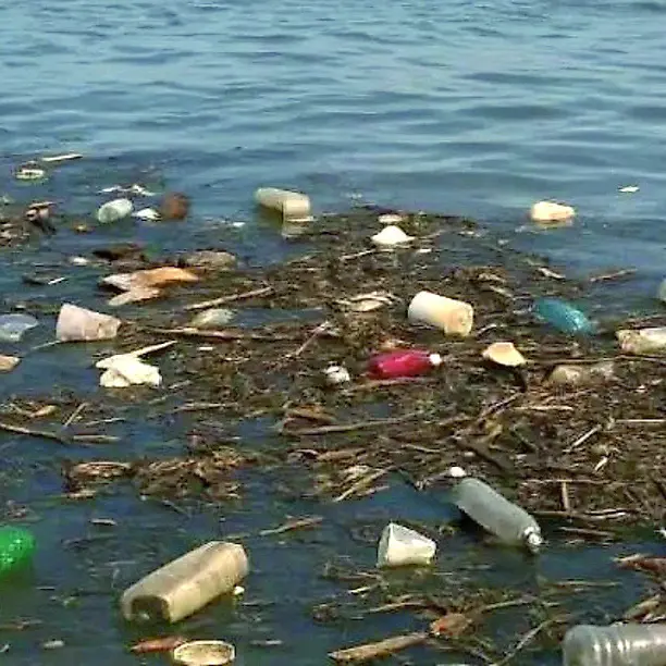 Allarme rifiuti galleggianti nel Tevere: oltre il 90% di plastica arriva in mare