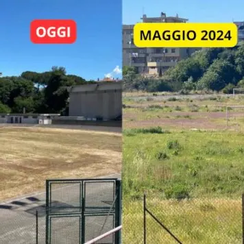 «Usare foto scattate in stagioni completamente diverse per dimostrare incuria è una forzatura comunicativa»