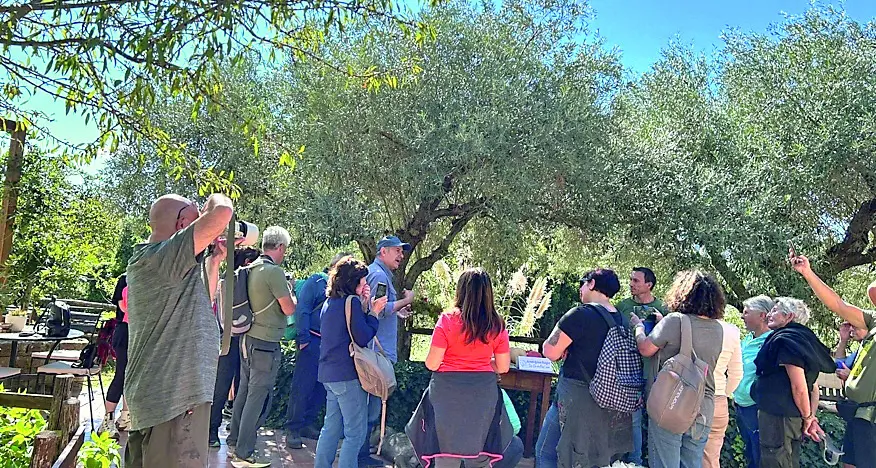 Con “La porta del pellegrino – cibo come esperienza culturale”, un viaggio tra natura, tradizioni e sapori