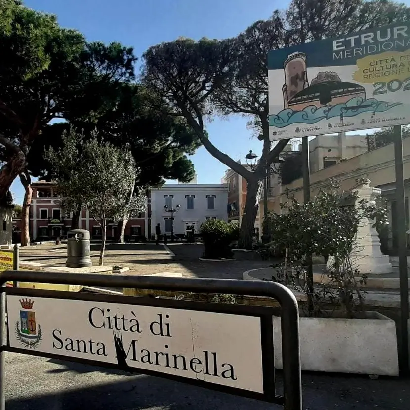 Parassita dei pini, alta la guardia a S. Marinella