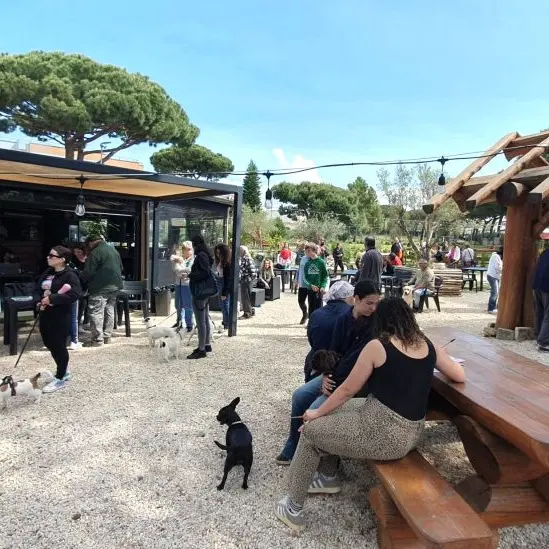 Santa Marinella, Domenica 26 ottobre torna la Giornata del microchip gratuito